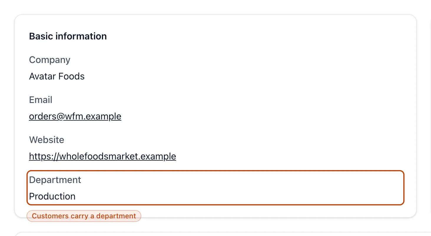 The basic-information card for a customer contact, showing its company, email, website, and department fields.